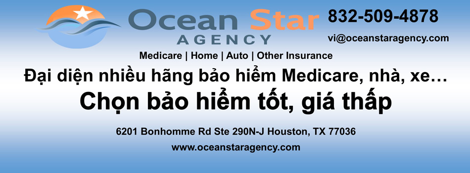 Ocean Star Agency